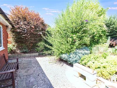 Picture 29